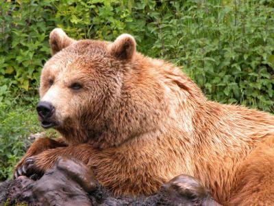 Der Zoo Hellbrunn bei Salzburg